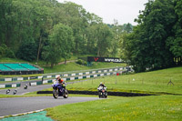 cadwell-no-limits-trackday;cadwell-park;cadwell-park-photographs;cadwell-trackday-photographs;enduro-digital-images;event-digital-images;eventdigitalimages;no-limits-trackdays;peter-wileman-photography;racing-digital-images;trackday-digital-images;trackday-photos